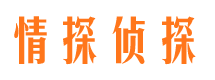 汉台侦探公司